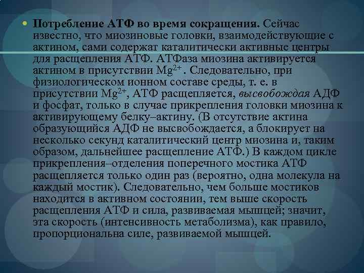  Потребление АТФ во время сокращения. Сейчас известно, что миозиновые головки, взаимодействующие с актином,