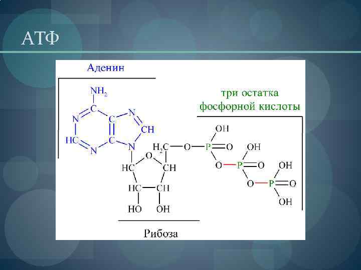АТФ 