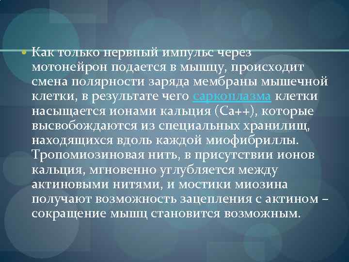  Как только нервный импульс через мотонейрон подается в мышцу, происходит смена полярности заряда