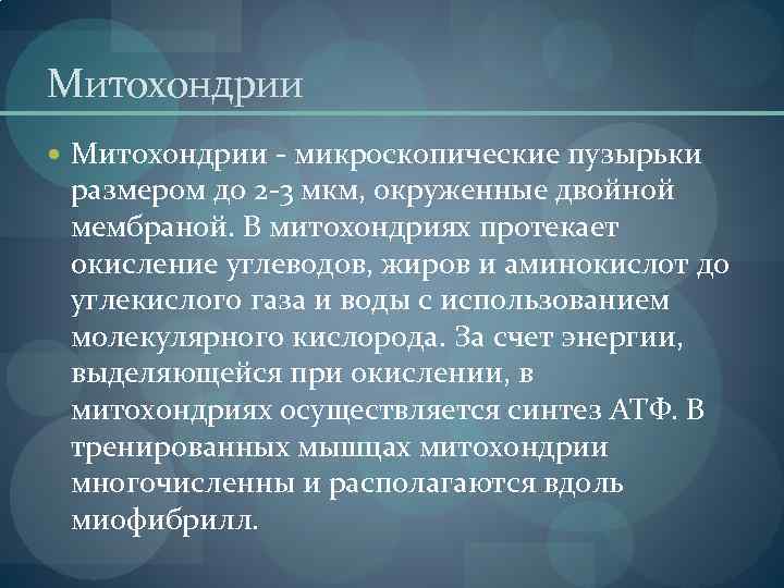 Митохондрии - микроскопические пузырьки размером до 2 -3 мкм, окруженные двойной мембраной. В митохондриях