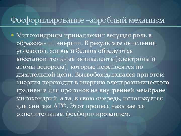 Фосфорилирование –аэробный механизм Митохондриям принадлежит ведущая роль в образовании энергии. В результате окисления углеводов,