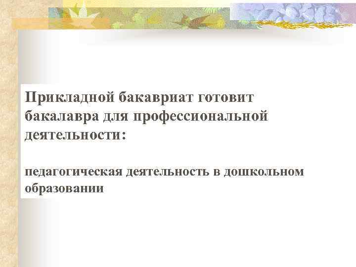 Прикладной бакавриат готовит бакалавра для профессиональной деятельности: педагогическая деятельность в дошкольном образовании 