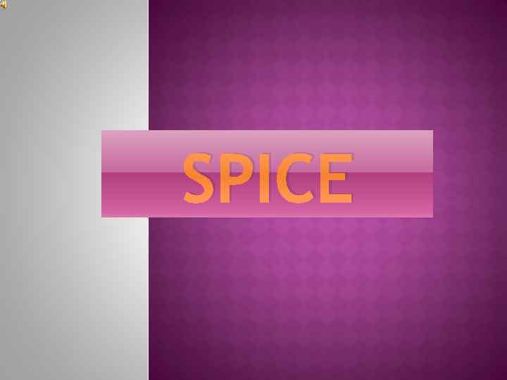 SPICE 