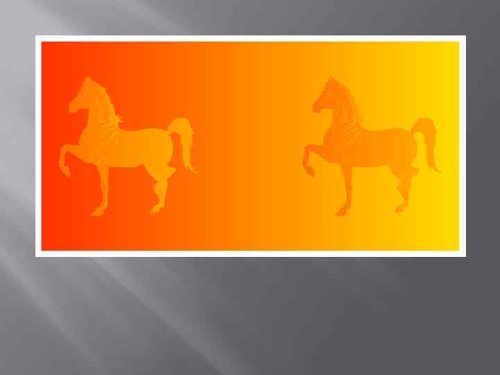 Восприятие цвета Цвет лошадей. Возможно, вам покажется странным, но лошади совершенно идентичны как по