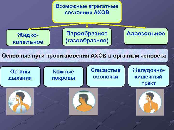 Возможные агрегатные состояния АХОВ Жидкокапельное Парообразное (газообразное) Аэрозольное Основные пути проникновения АХОВ в организм
