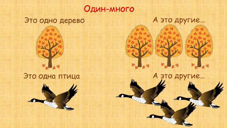 Тема много. Один много по теме осень. Один много тема деревья. Презентация один много тема осень. Один много птицы.