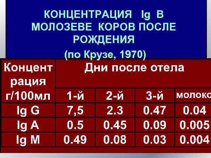 КОНЦЕНТРАЦИЯ Ig В МОЛОЗЕВЕ КОРОВ ПОСЛЕ РОЖДЕНИЯ (по Крузе, 1970) 