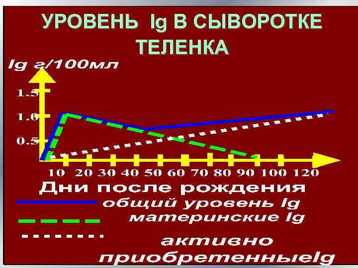 УРОВЕНЬ Ig В СЫВОРОТКЕ ТЕЛЕНКА 