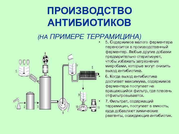 Производственные питательные среды в биотехнологической схеме получения лекарственных препаратов