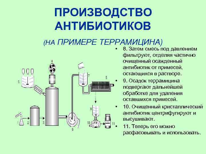 ПРОИЗВОДСТВО АНТИБИОТИКОВ (НА ПРИМЕРЕ ТЕРРАМИЦИНА) • • 8. Затем смесь под давлением фильтруют, отделяя