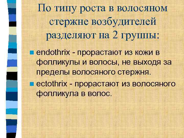 По типу роста в волосяном стержне возбудителей разделяют на 2 группы: n endothrix -