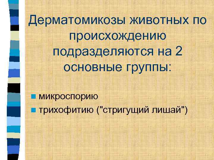 Дерматомикозы животных по происхождению подразделяются на 2 основные группы: n микроспорию n трихофитию ("стригущий