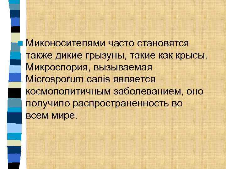 n Миконосителями часто становятся также дикие грызуны, такие как крысы. Микроспория, вызываемая Microsporum canis