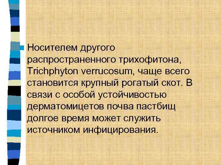 n Носителем другого распространенного трихофитона, Trichphyton verrucosum, чаще всего становится крупный рогатый скот. В