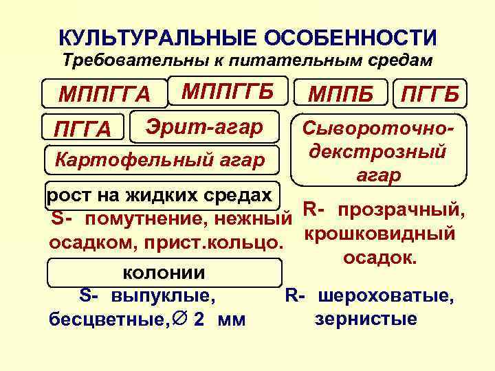 КУЛЬТУРАЛЬНЫЕ ОСОБЕННОСТИ Требовательны к питательным средам МППГГА МППГГБ ПГГА Эрит-агар Картофельный агар МППБ ПГГБ