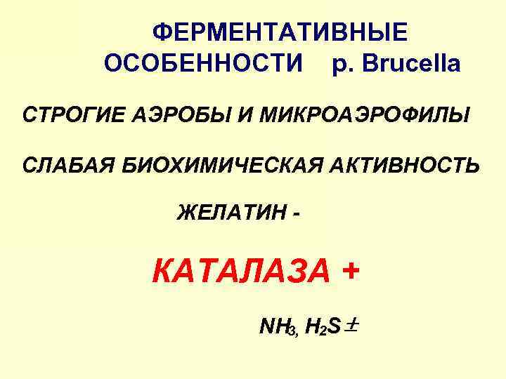 ФЕРМЕНТАТИВНЫЕ ОСОБЕННОСТИ р. Brucella СТРОГИЕ АЭРОБЫ И МИКРОАЭРОФИЛЫ СЛАБАЯ БИОХИМИЧЕСКАЯ АКТИВНОСТЬ ЖЕЛАТИН - КАТАЛАЗА