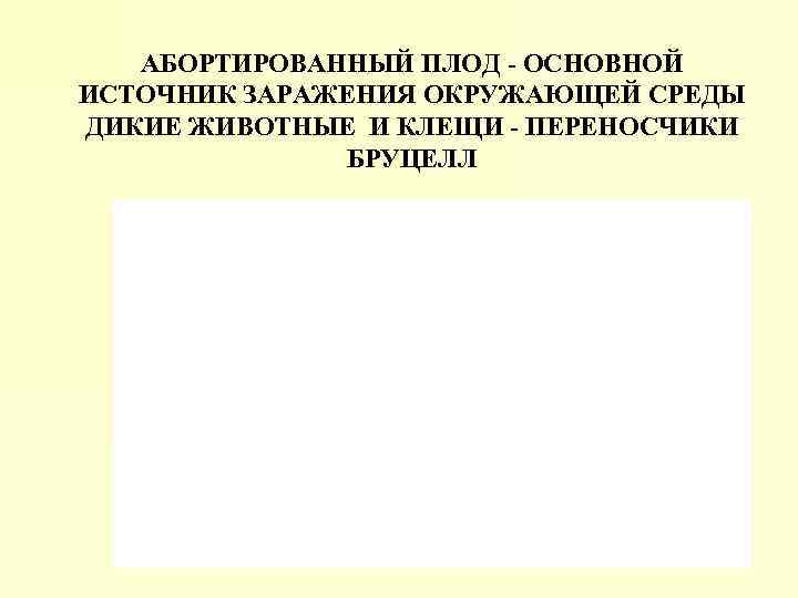 АБОРТИРОВАННЫЙ ПЛОД - ОСНОВНОЙ ИСТОЧНИК ЗАРАЖЕНИЯ ОКРУЖАЮЩЕЙ СРЕДЫ ДИКИЕ ЖИВОТНЫЕ И КЛЕЩИ - ПЕРЕНОСЧИКИ