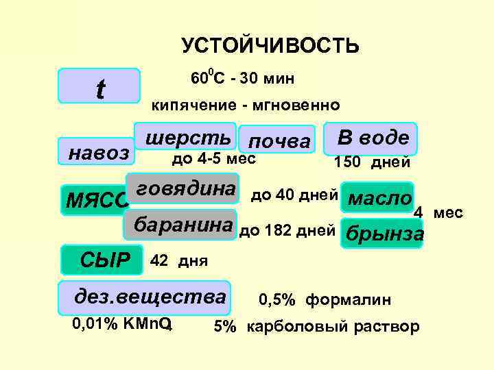 УСТОЙЧИВОСТЬ t навоз МЯСО СЫР 600 С - 30 мин кипячение - мгновенно шерсть