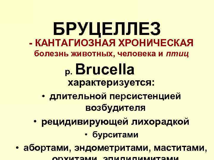 БРУЦЕЛЛЕЗ - КАНТАГИОЗНАЯ ХРОНИЧЕСКАЯ болезнь животных, человека и птиц р. Brucella характеризуется: • длительной