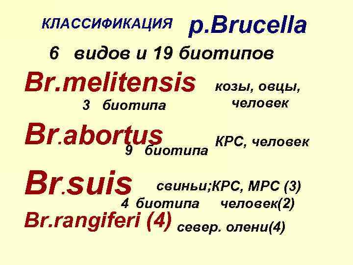 КЛАССИФИКАЦИЯ р. Brucella 6 видов и 19 биотипов Br. melitensis 3 биотипа козы, овцы,