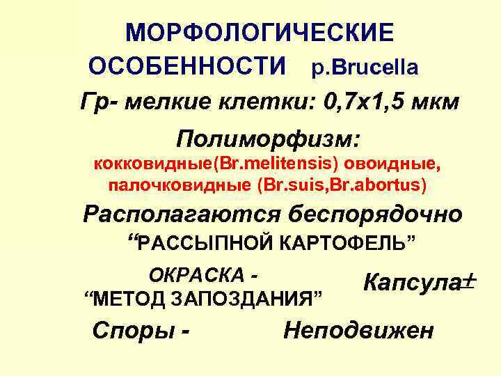 МОРФОЛОГИЧЕСКИЕ ОСОБЕННОСТИ р. Brucella Гр- мелкие клетки: 0, 7 х1, 5 мкм Полиморфизм: кокковидные(Br.
