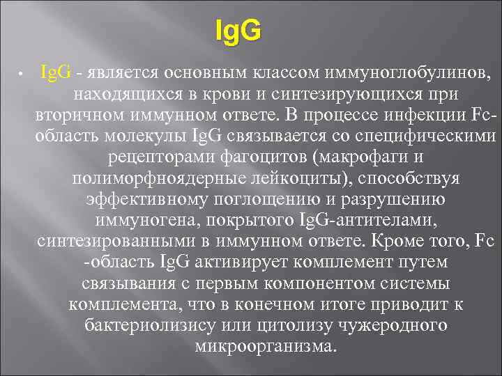 Ig. G • Ig. G - является основным классом иммуноглобулинов, находящихся в крови и