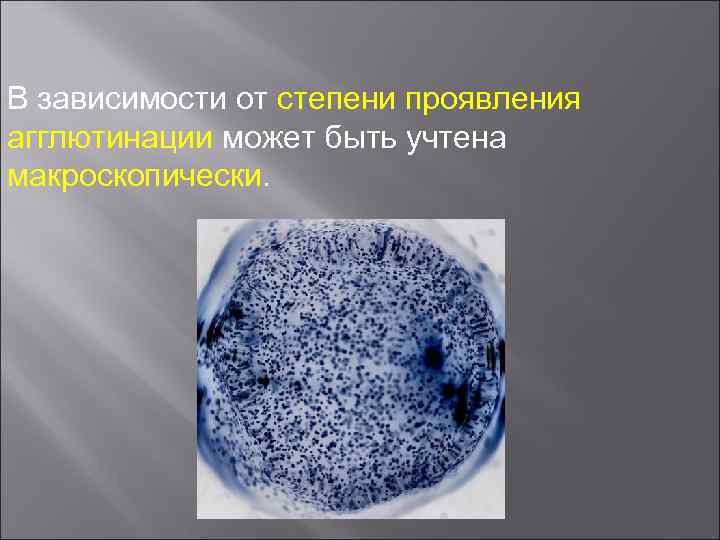 В зависимости от степени проявления агглютинации может быть учтена макроскопически. 