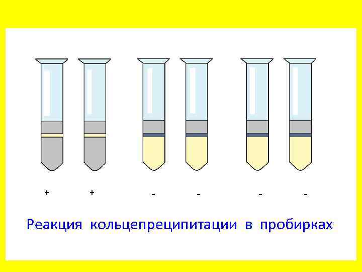 Реакция преципитации схема