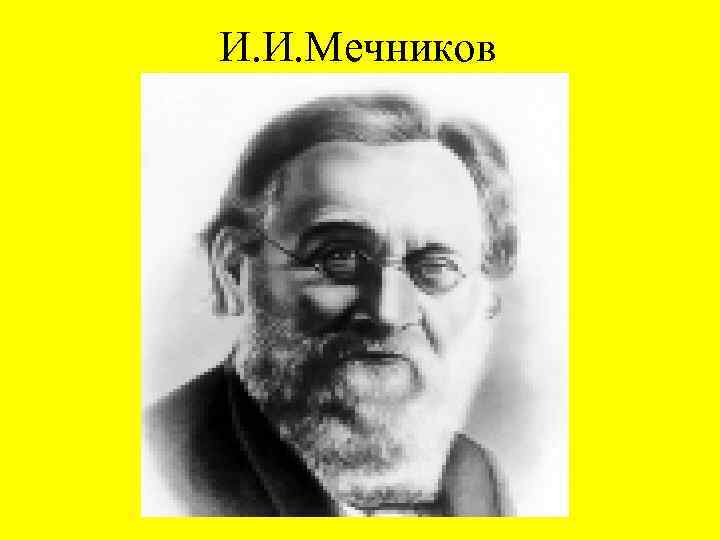 И. И. Мечников 