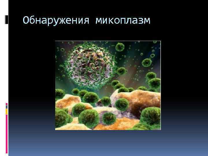 Обнаружения микоплазм 