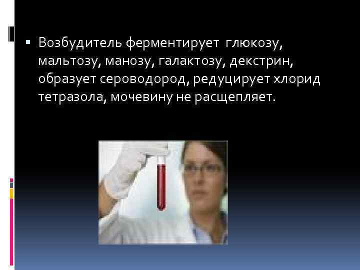  Возбудитель ферментирует глюкозу, мальтозу, манозу, галактозу, декстрин, образует сероводород, редуцирует хлорид тетразола, мочевину