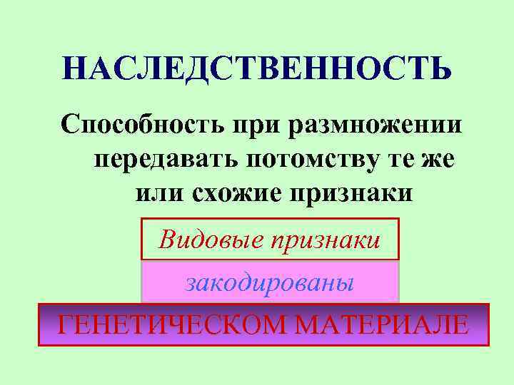 НАСЛЕДСТВЕННОСТЬ Способность при размножении передавать потомству те же или схожие признаки Видовые признаки закодированы