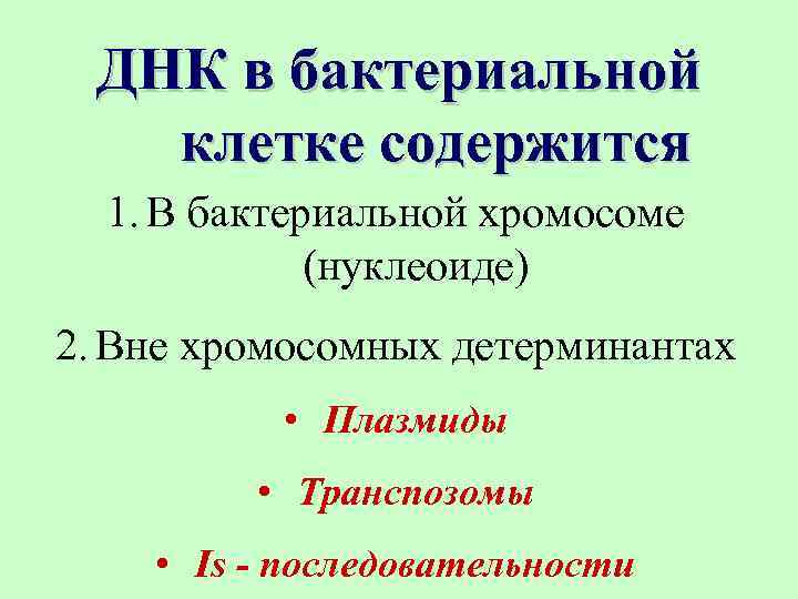 ДНК в бактериальной клетке содержится 1. В бактериальной хромосоме (нуклеоиде) 2. Вне хромосомных детерминантах