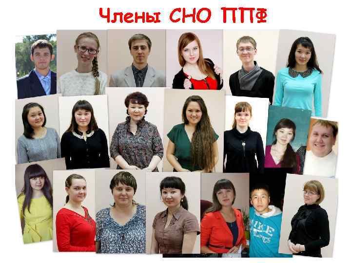 Члены СНО ППФ 