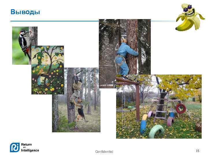 Выводы Confidential 15 