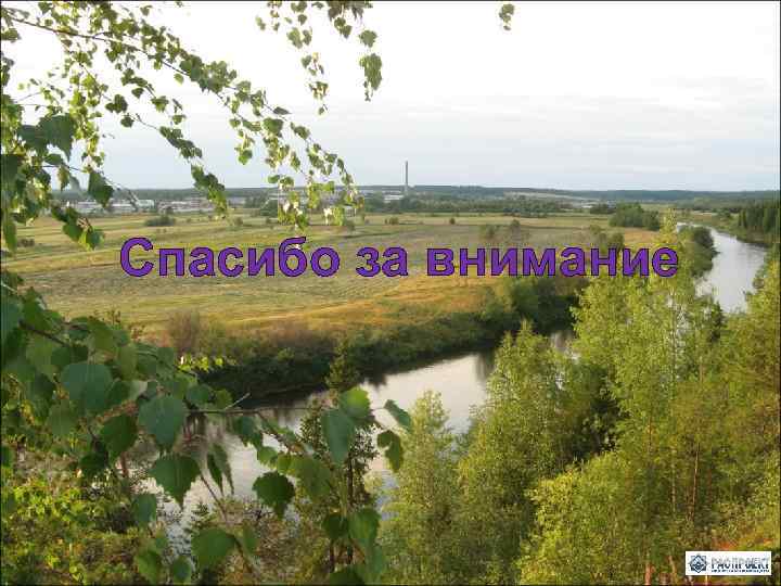 Спасибо за внимание 