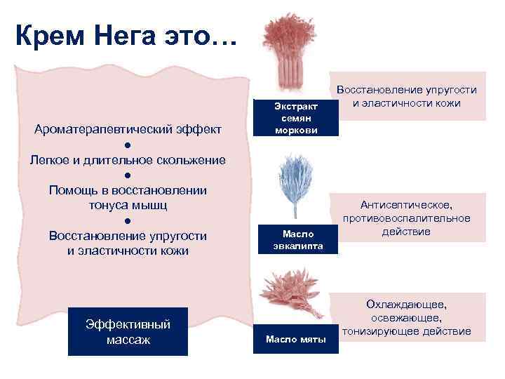 Крем Нега это… Ароматерапевтический эффект ● Легкое и длительное скольжение ● Помощь в восстановлении