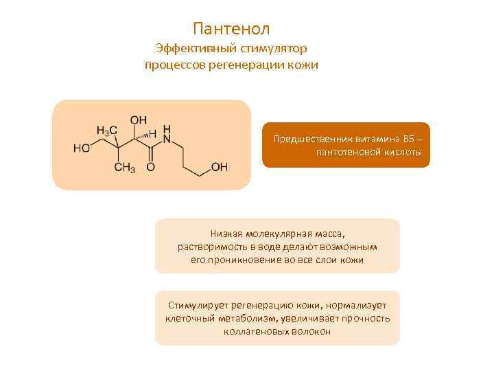 Пантенол Эффективный стимулятор процессов регенерации кожи Предшественник витамина В 5 – пантотеновой кислоты Низкая
