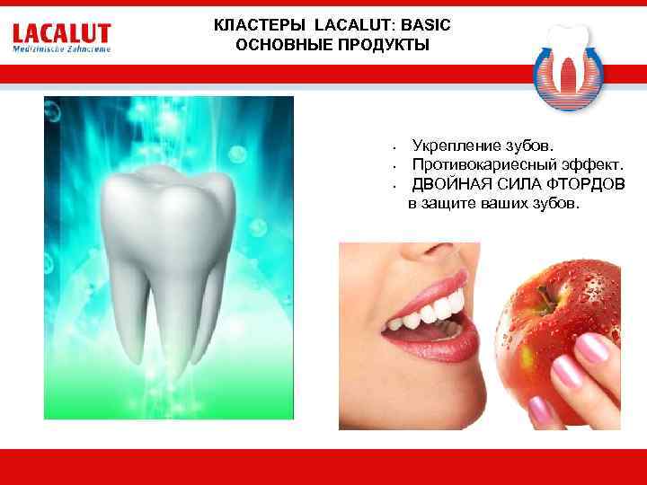 КЛАСТЕРЫ LACALUT: BASIC ОСНОВНЫЕ ПРОДУКТЫ • • • Укрепление зубов. Противокариесный эффект. ДВОЙНАЯ СИЛА