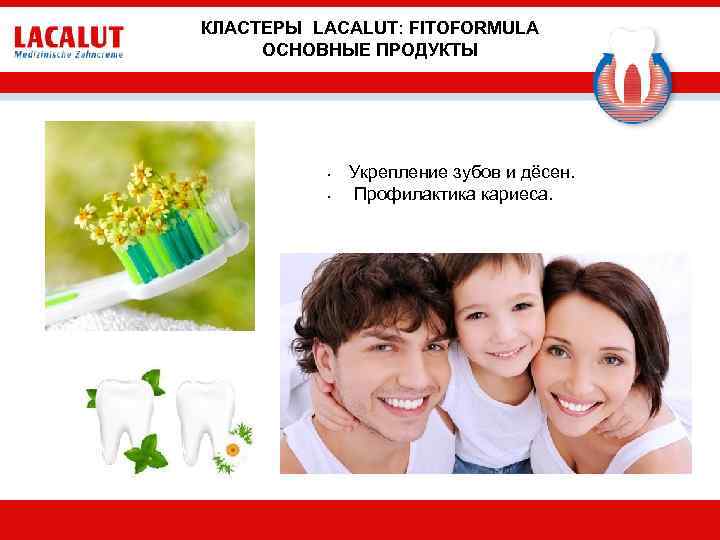 КЛАСТЕРЫ LACALUT: FITOFORMULA ОСНОВНЫЕ ПРОДУКТЫ • • Укрепление зубов и дёсен. Профилактика кариеса. 