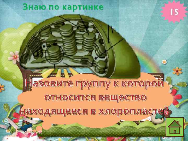 Знаю по картинке Назовите группу к которой относится вещество находящееся в хлоропласте? 15 