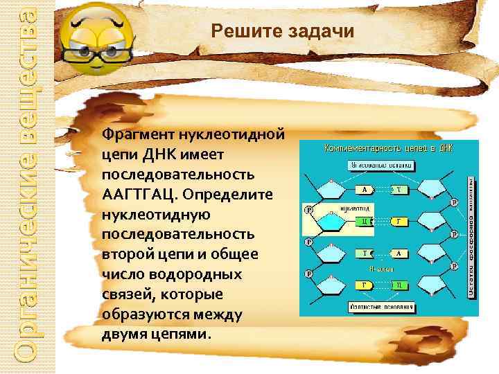 Число водородных связей днк. Фрагмент цепи ДНК имеет последовательность ААГТГАЦ. Фрагмент нуклеотидной цепи ДНК имеет последовательность ААГТГАЦ. Как найти нуклеотидную последовательность второй цепи и общее. Последовательность органических веществ рыбы хлеба.