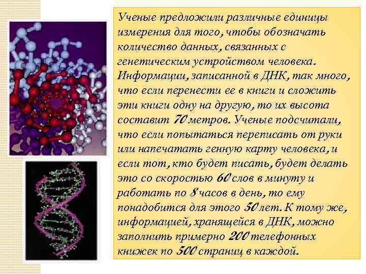 Ученые предложили различные единицы измерения для того, чтобы обозначать количество данных, связанных с генетическим