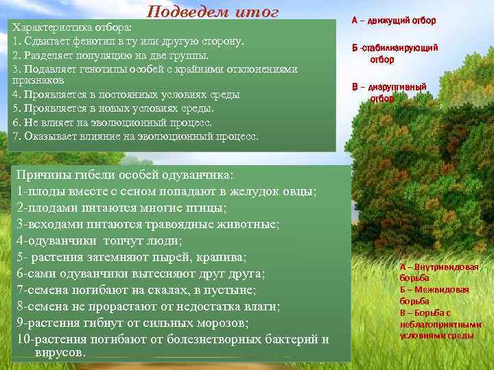 Подведем итог Характеристика отбора: 1. Сдвигает фенотип в ту или другую сторону. 2. Разделяет