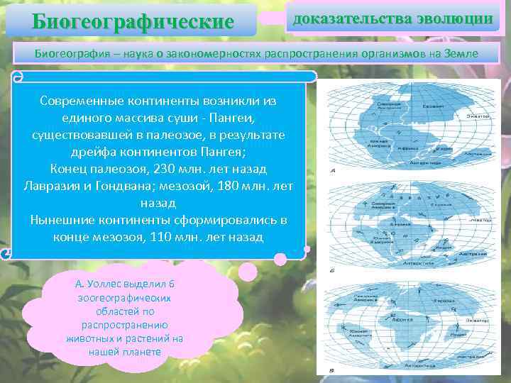 Биогеографические доказательства эволюции Биогеография – наука о закономерностях распространения организмов на Земле Современные континенты