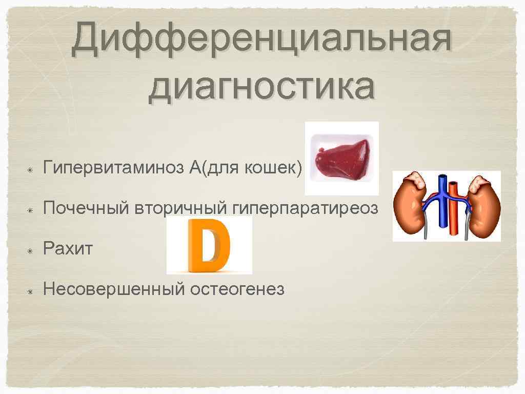 Дифференциальная диагностика Гипервитаминоз А(для кошек) Почечный вторичный гиперпаратиреоз Рахит Несовершенный остеогенез 