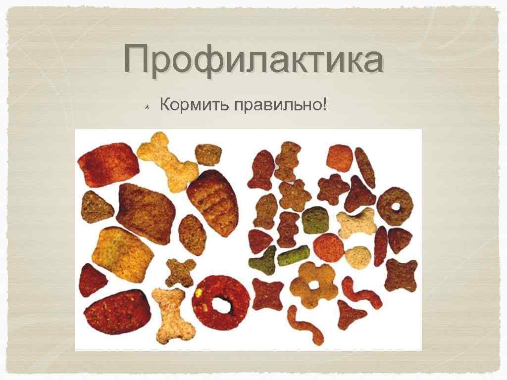 Профилактика Кормить правильно! 