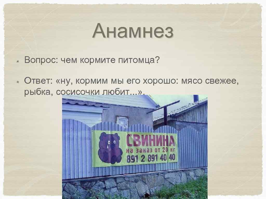 Анамнез Вопрос: чем кормите питомца? Ответ: «ну, кормим мы его хорошо: мясо свежее, рыбка,