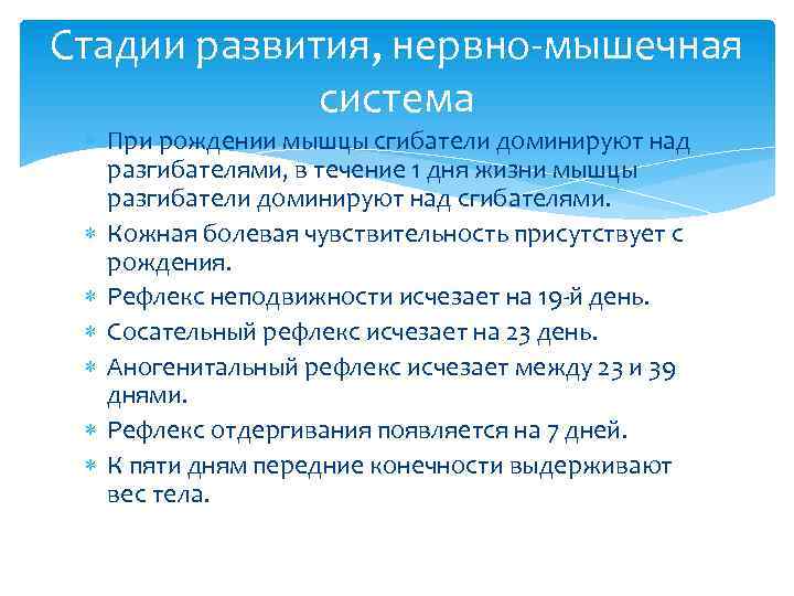 Стадии развития, нервно-мышечная система При рождении мышцы сгибатели доминируют над разгибателями, в течение 1
