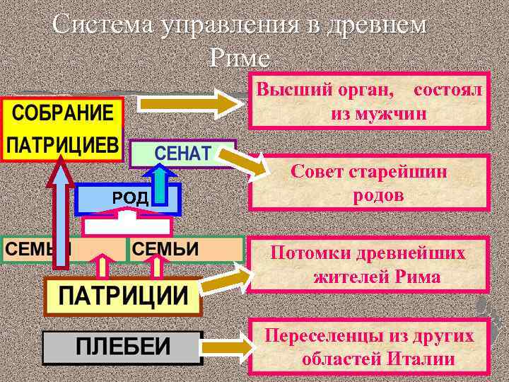 Система управления в древнем Риме Высший орган, состоял из мужчин РОД Совет старейшин родов